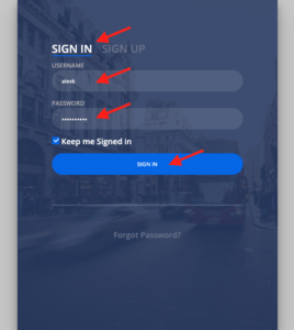 Web API authentication with REST/GraphQL