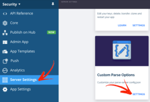 Parse Server Security